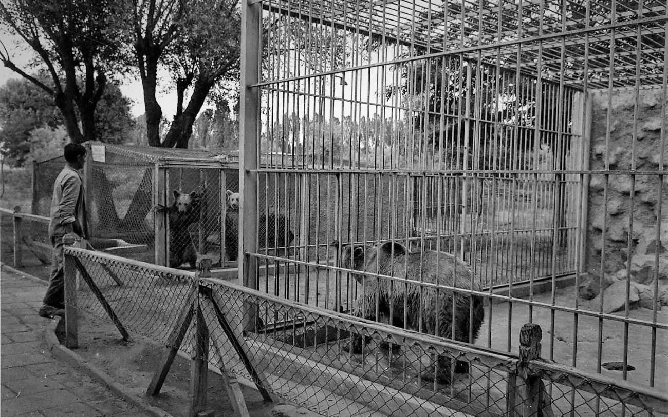 Atatürk Orman Çiftliği hayvanat bahçesi