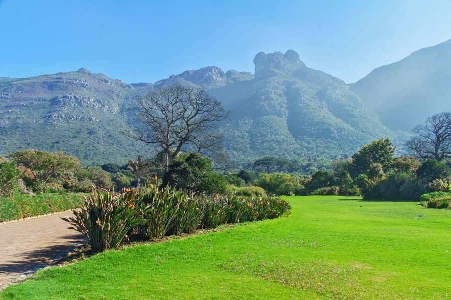 Kirstenbosch Botanik Bah esi G ney Afrika n n Miras PeyzaX