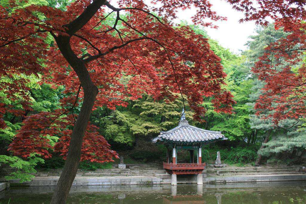 Güney Kore Huwon Gizli Bahçesi